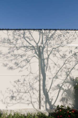 Light and shadows of trees projected onto the wall.