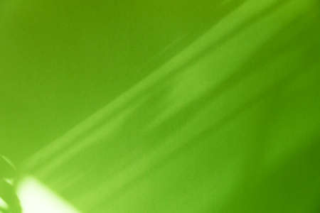 Light and shadow shine on green wall.