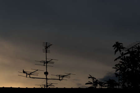 Birds on television atenna in the evening before the sunset.