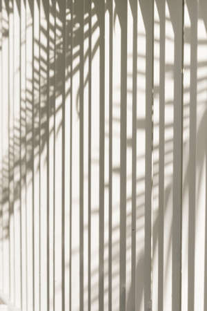 Light and shadows of trees projected onto the white irons bar  fence.