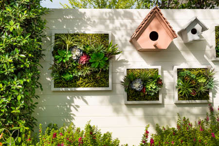 Decorated wall vertical garden idea in the city, Background.