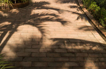 Tree shadows on dirty concrete block floor in the walk way of the park. Dramatic light abstract art vintage backgroundの写真素材