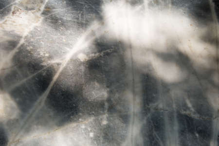 Tree shadows on dirty marble floor in the walk way of the park. Dramatic light abstract art vintage...