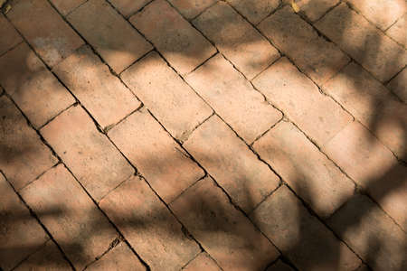 Tree shadows on dirty concrete block floor in the walk way of the park. Dramatic light abstract art vintage backgroundの写真素材