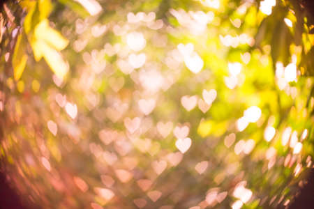 Abstract background heart shaped bokeh with natural blurred background.(Filter effect used)の写真素材