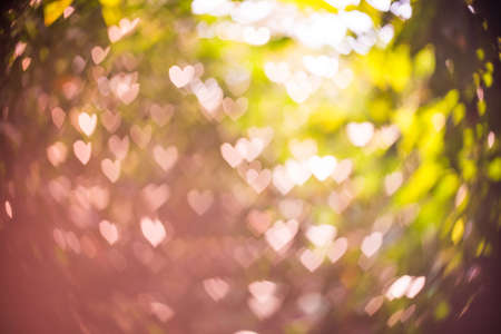 Abstract background heart shaped bokeh with natural blurred background.(Filter effect used)