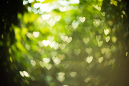 Abstract background heart shaped bokeh with natural blurred background.の写真素材