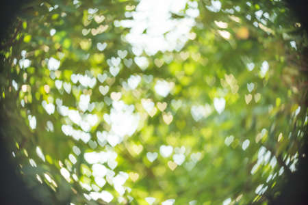 Abstract background heart shaped bokeh with natural blurred background.の写真素材