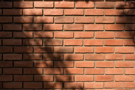 Background of the old brick wall texture