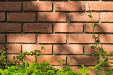 Background of the old brick wall textureの写真素材