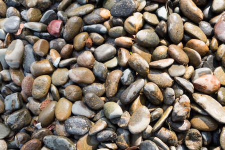 Background with colorful sea pebbles.の写真素材