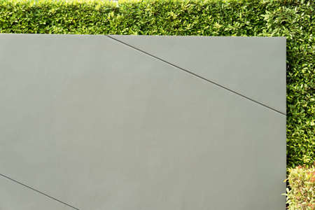 Grey wall and tree background in the park,