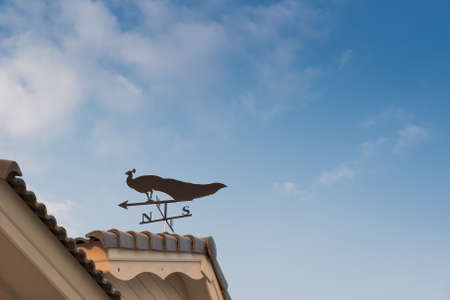 Weathervane with peacock above an arrow and the four cardinal points North East West Southの写真素材