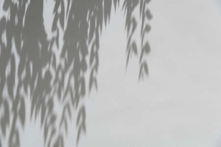 Shadows from the trees falling on the fence, nature backgroundの写真素材
