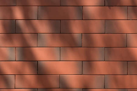 Red brick wall texture background with the shadow of the tree shining down.