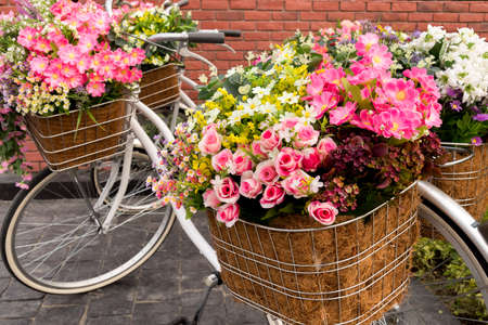 Beautiful colorful flowers in a basket of white vintage bicycle, Concept for wedding and valentine 's day.の写真素材