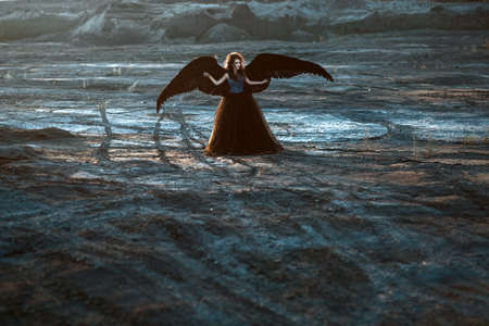 Pretty girl-demon with black wings behind her back