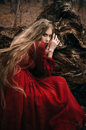 Beautiful witch who lives in the woodsの写真素材