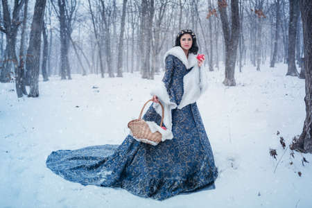 Portrait of young woman dressed in blue coat. She is walking in the winter forest holding a basket with applesの写真素材
