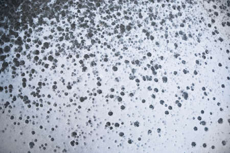 Snow texture backgroundの写真素材