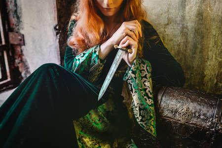 Ginger queen near the castleの写真素材