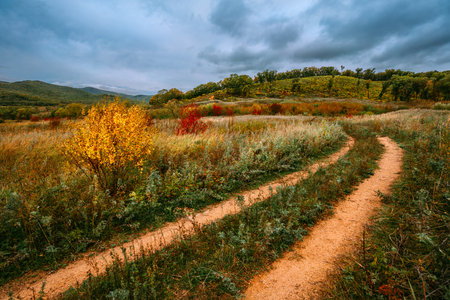 Rural road through an autumn field landscapeの写真素材