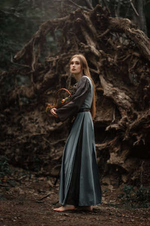 A mysterious witch walks in a dark forestの写真素材