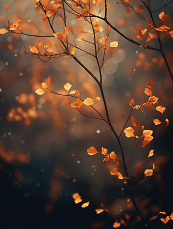 Beautiful orange and yellow autumn leaves against a blurry autumn background.の素材