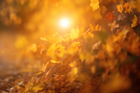 Beautiful blurred autumn background. Colorful foliage in the park.の素材