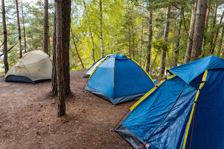 Several tents pitched in a lush forest, surrounded by trees, creating a peaceful camping scene.の写真素材