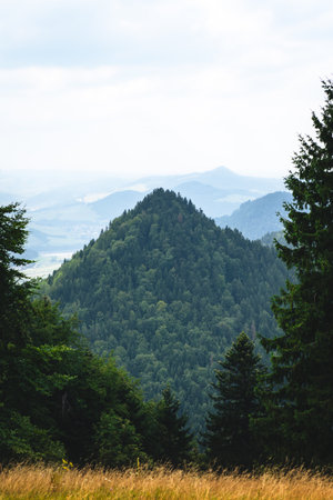 Dramatic sharp mountain peaks of Pieniny in Poland under clear sky, highlighting rugged terrain and natural beauty.の写真素材