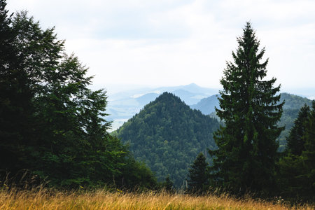 Dramatic sharp mountain peaks of Pieniny in Poland under clear sky, highlighting rugged terrain and natural beauty.の写真素材