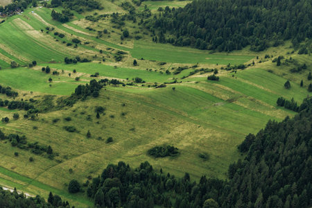 Aerial view of green mountains, forests, and meadows in summer, showing lush hills and vibrant natural landscape.の写真素材