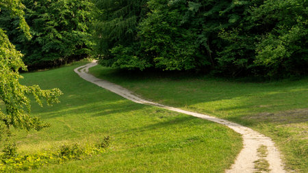 A winding path crosses a sunny meadow with scattered trees and nearby forest in hilly summer landscape.の写真素材