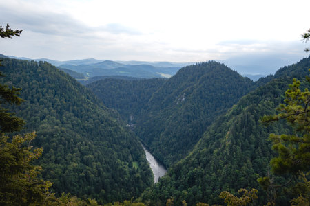 View from Sokolica Peak over Dunajec River Gorge in Pieniny, Poland, with cliffs, river, and lush green forest.の写真素材