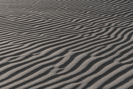 Close-up of wavy sand patterns created by the wind in a desert, forming natural abstract lines and textures.の写真素材