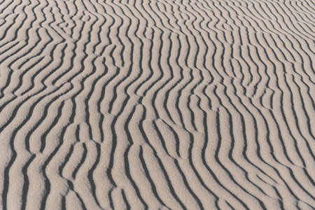 Close-up of wavy sand patterns created by the wind in a desert, forming natural abstract lines and textures.の写真素材