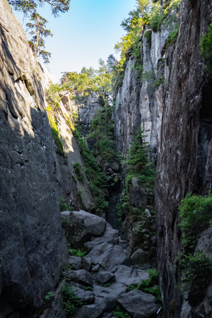 Narrow hiking trail carved between vertical sandstone rocks on Szczeliniec Wielki mountain in Poland. Natural corridor in the Stolowe Mountains.の写真素材