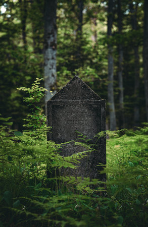 A solitary gravestone marked russische Krieger 1914 stands quietly in a forest clearing, surrounded...