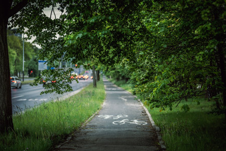 Bicycle path running along a road, surrounded by lush green trees and foliage, ideal for cycling and...
