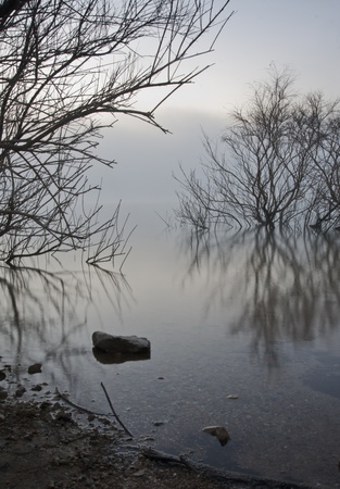 Photo of Dawn in a swampの写真素材