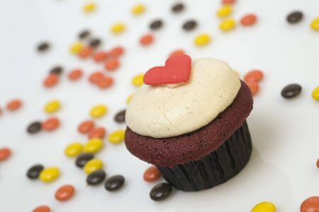 Gourmet Chocolate Buttercream Cupcake on a white background with candiesの写真素材