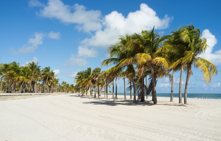 Beautiful Crandon Park Beach in Miamiの写真素材
