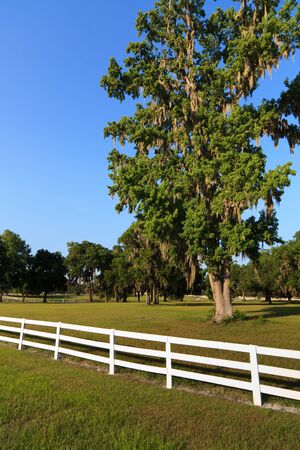 White picket fence along a horse ranch in the countrysideの写真素材