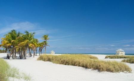 Beautiful Crandon Park Beach in Miami s Key Biscayneの写真素材