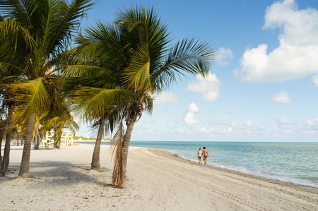 Beautiful Crandon Park Beach in Miami s Key Biscayneの写真素材
