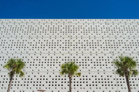 Miami Beach architecture with palm trees のeditorial素材
