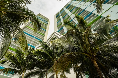 Downtown Miami condos along the Miami River inlet with coconut palm trees along the promenade の写真素材