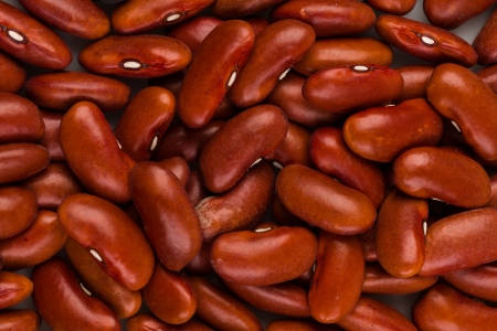 Close up view of red kidney beans 