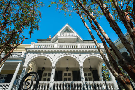 Historic southern style homes in Charleston, South Carolina.のeditorial素材